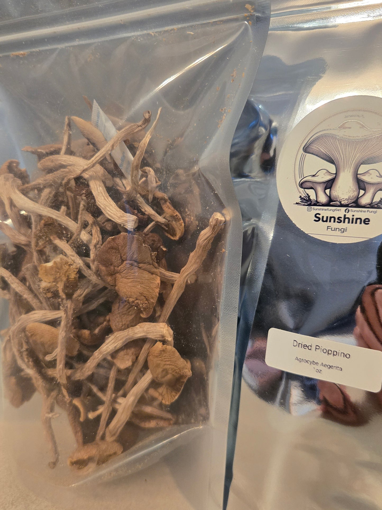 Dried Pioppino Mushrooms
