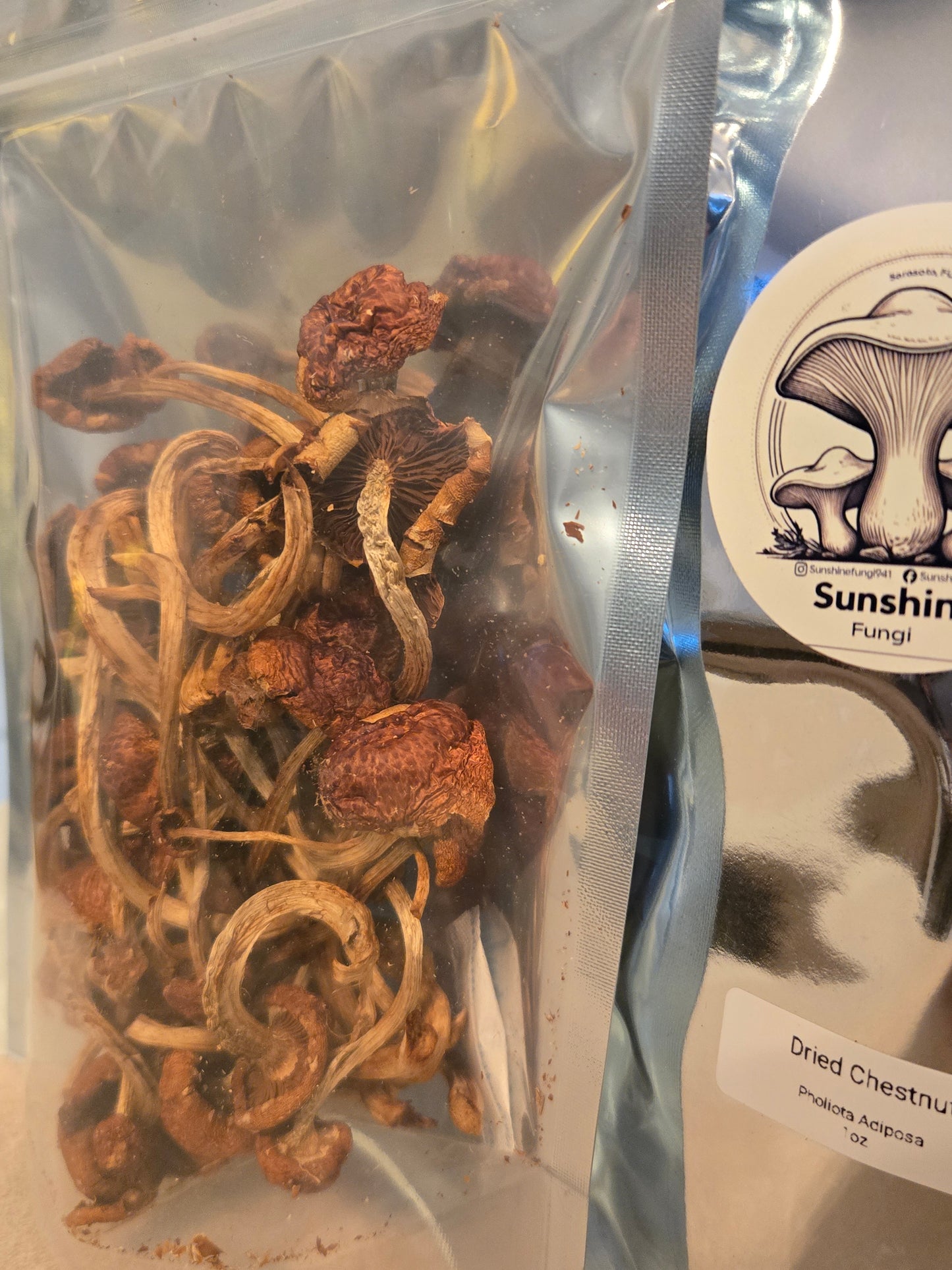 Dried Chestnut Mushrooms