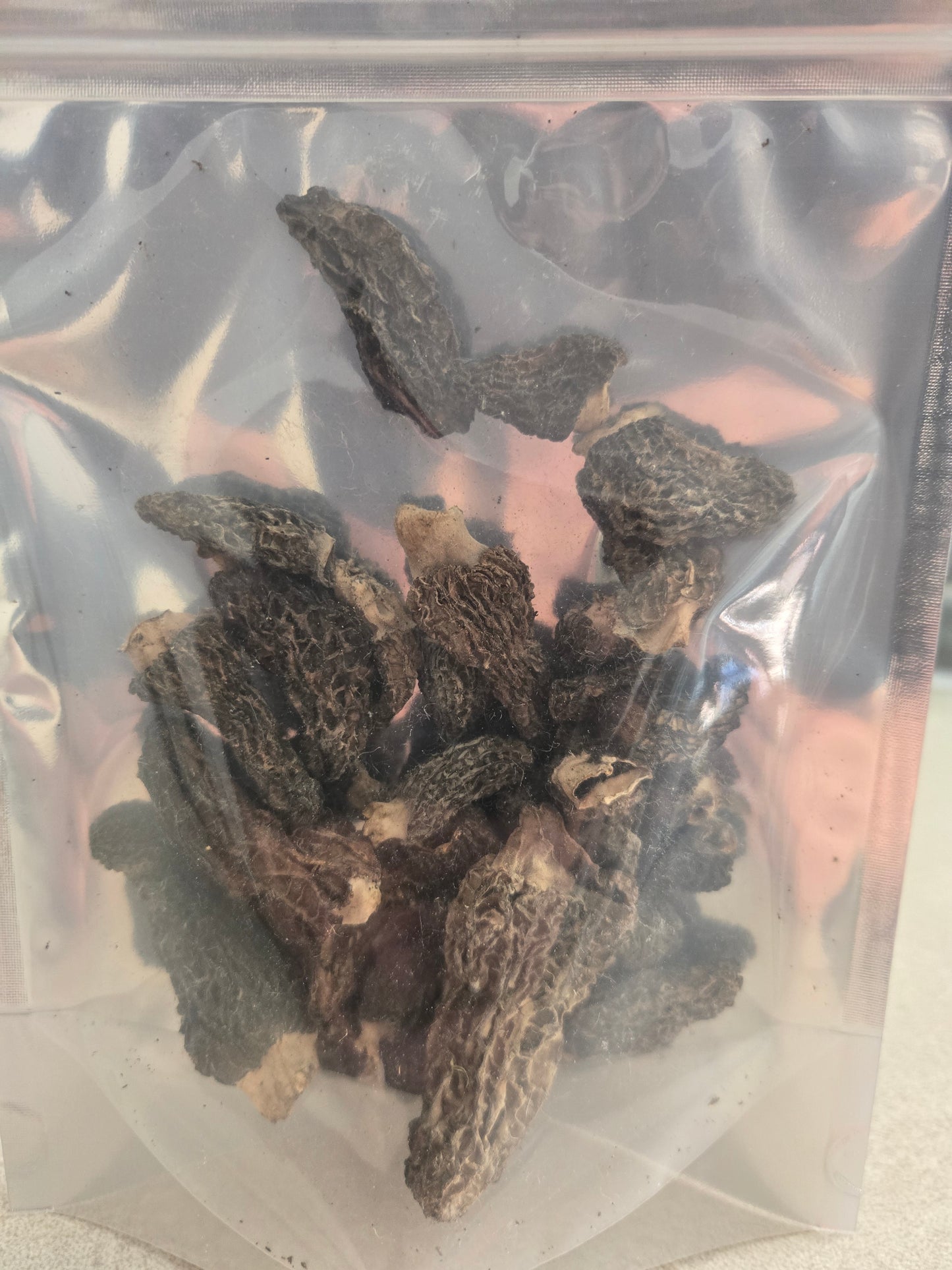 Dried Wild Morel Mushroom