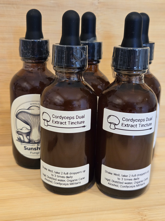 Cordyceps Dual Extract