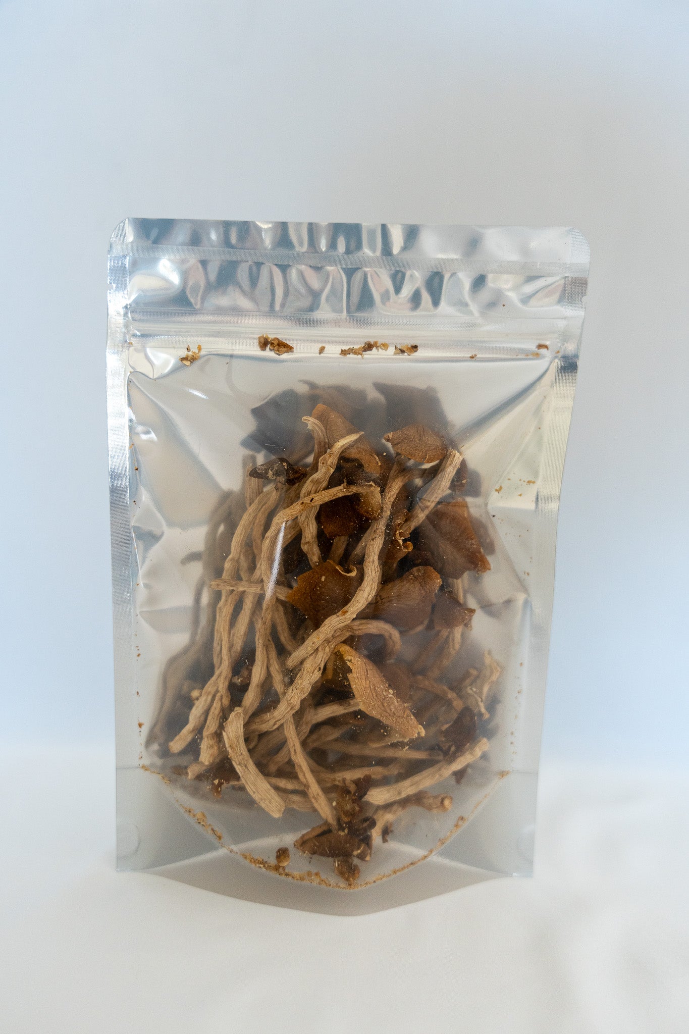 Dried Pioppino Mushrooms