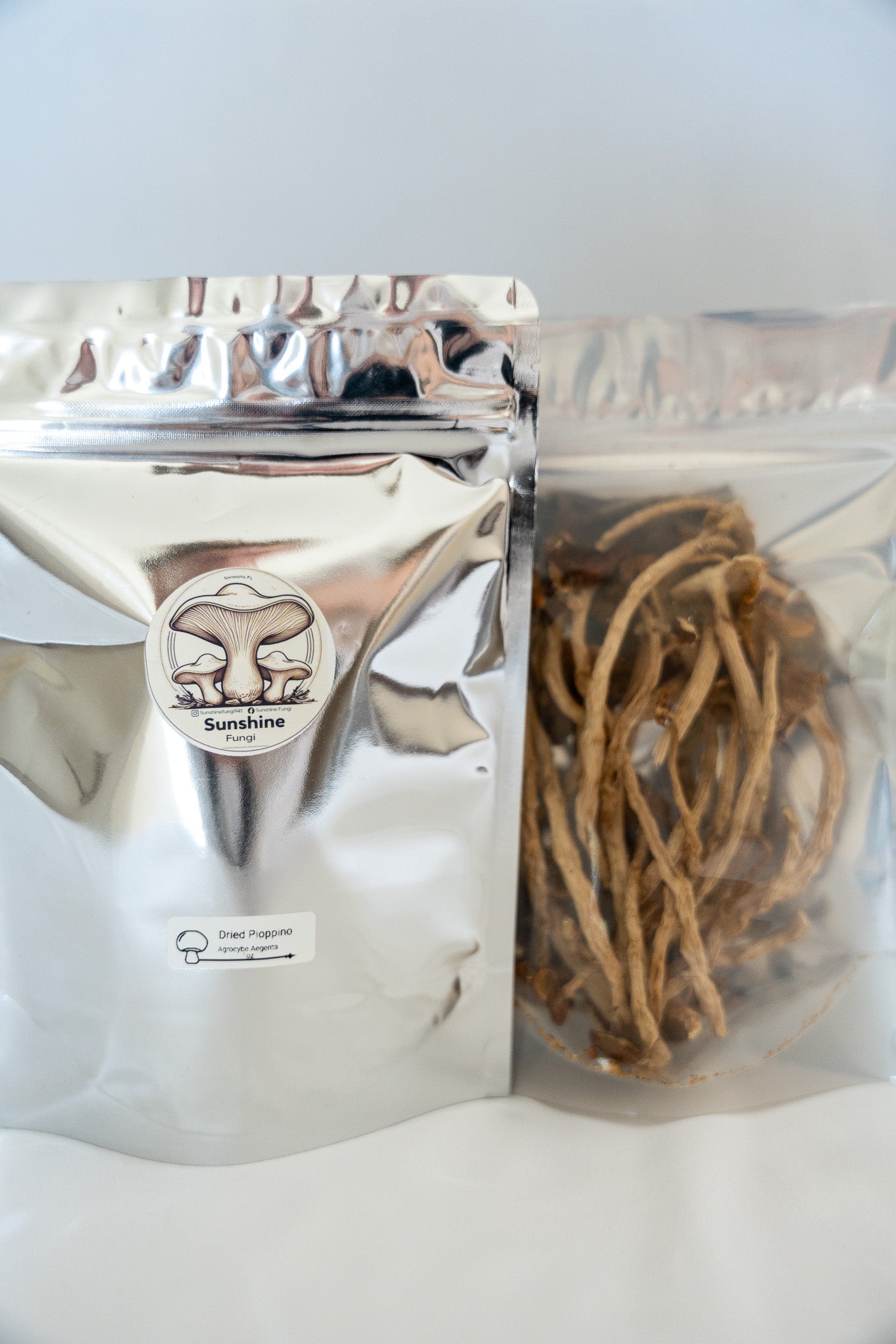 Dried Pioppino Mushrooms