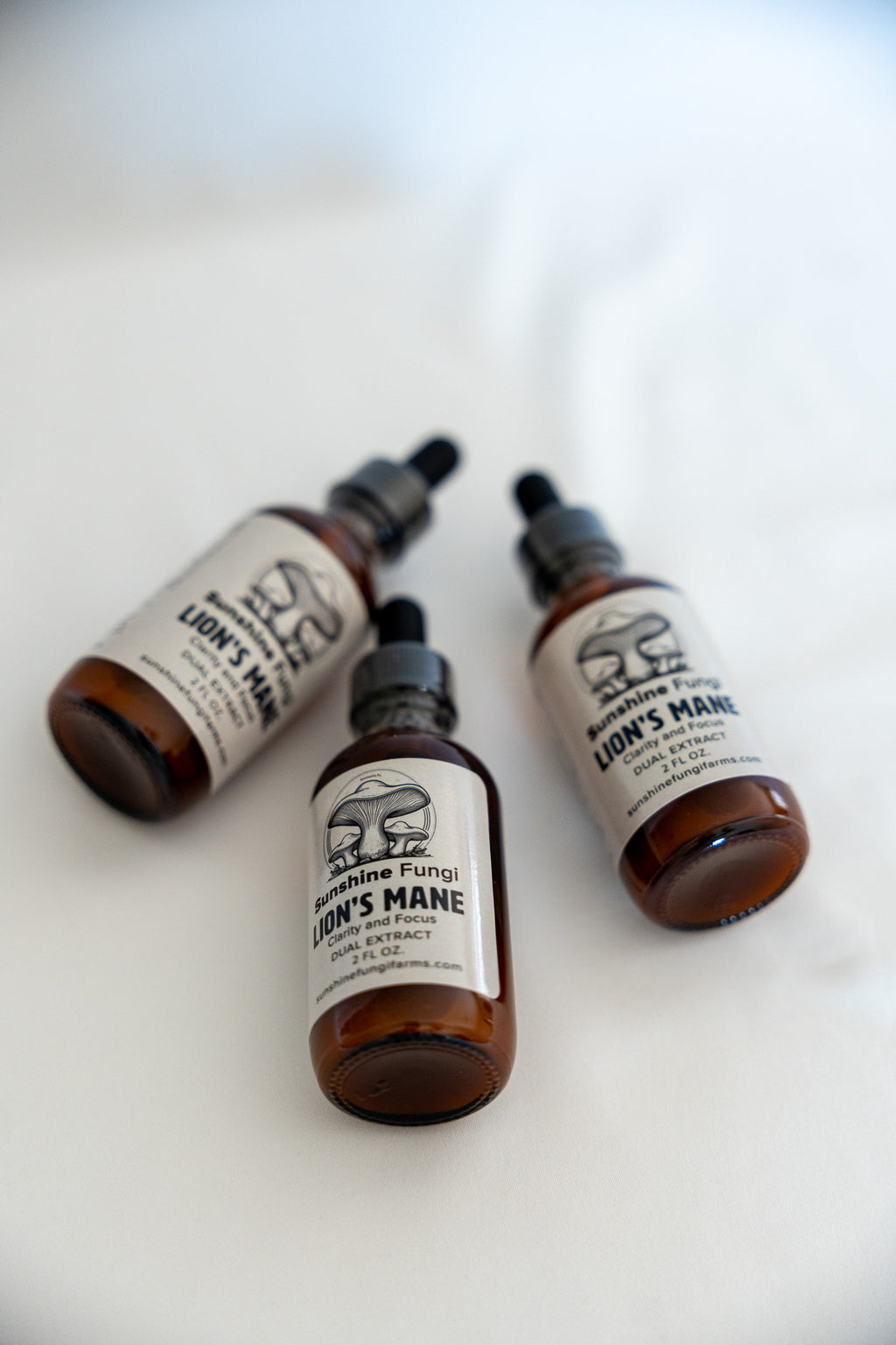 Lion's Mane Dual Extract