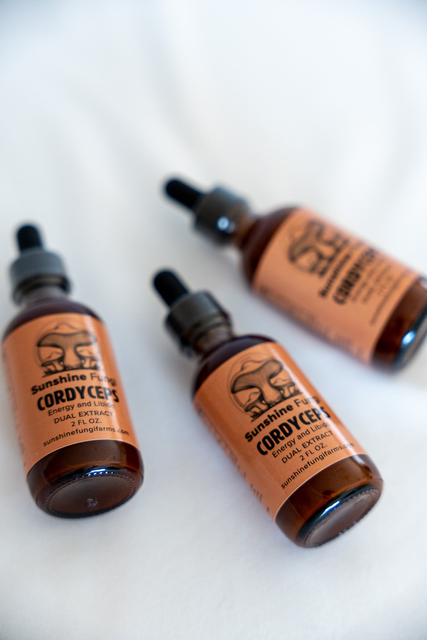 Cordyceps Dual Extract