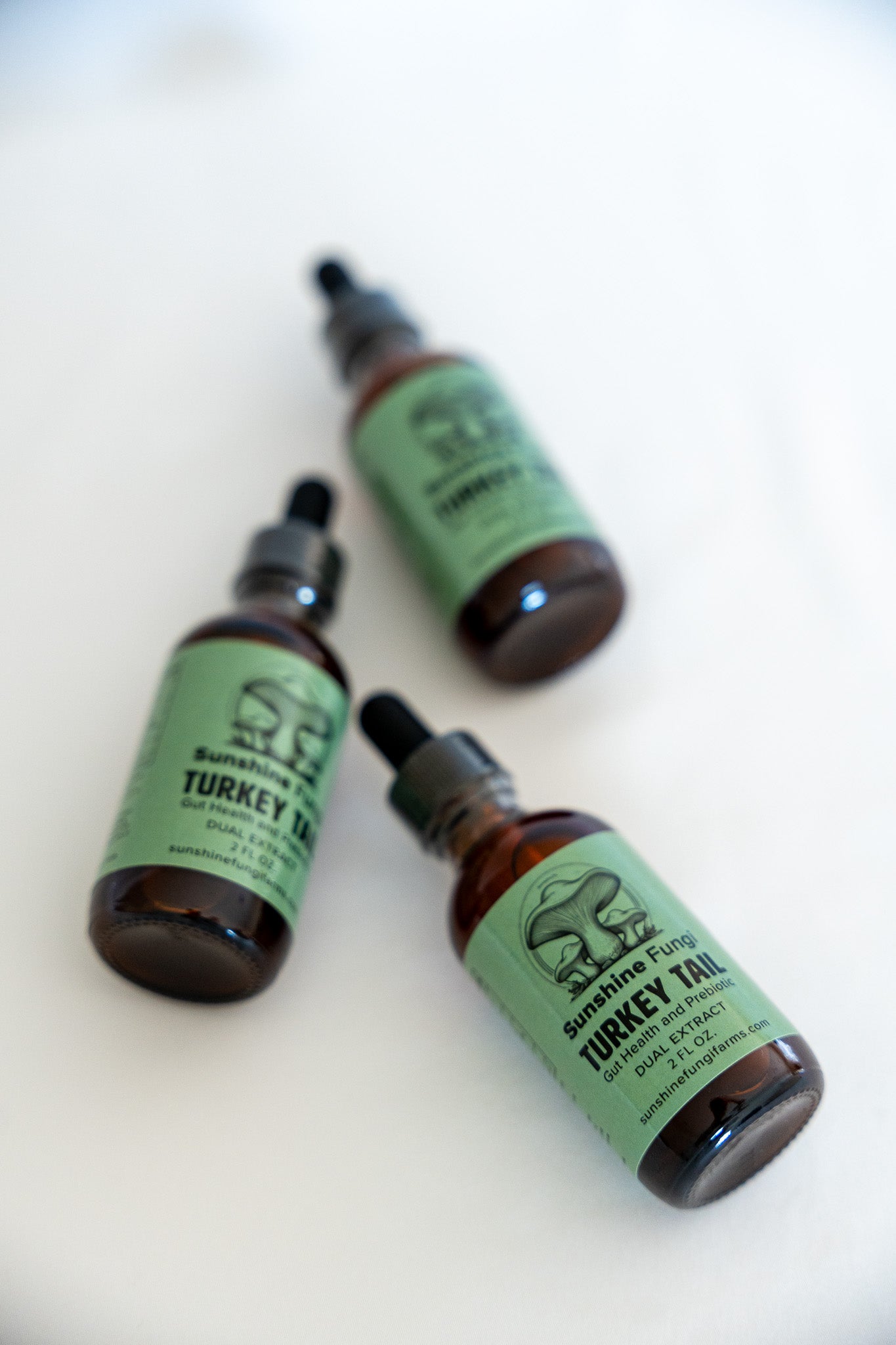 Turkey Tail Dual Extract