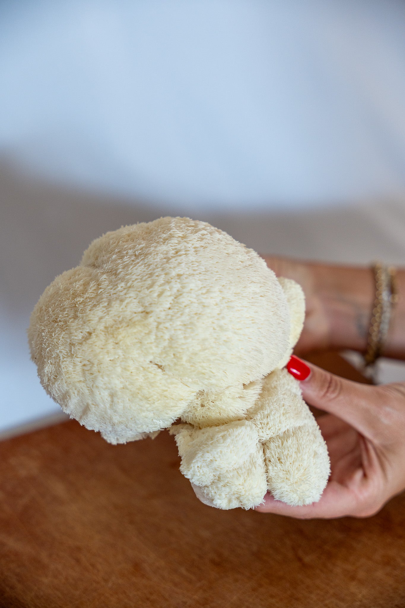 Mushroom Liquid Culture