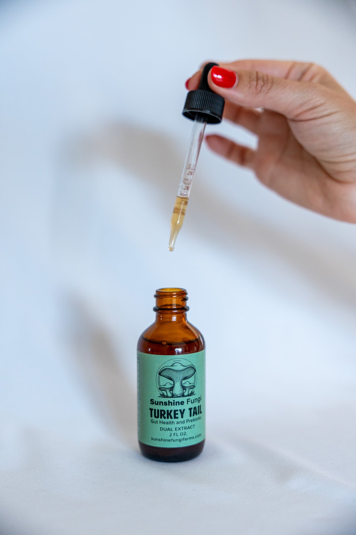 Turkey Tail Dual Extract