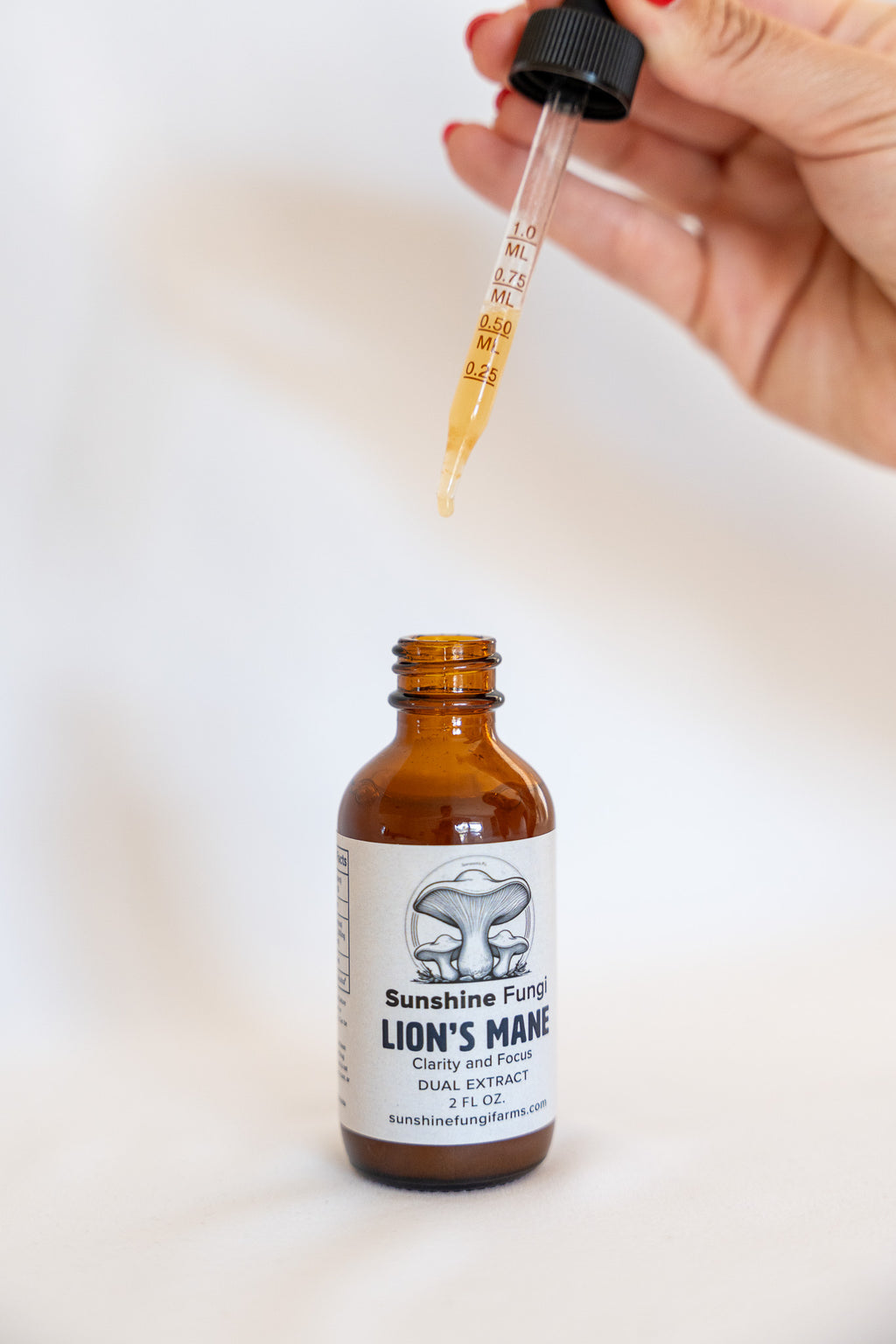 Lion's Mane Dual Extract