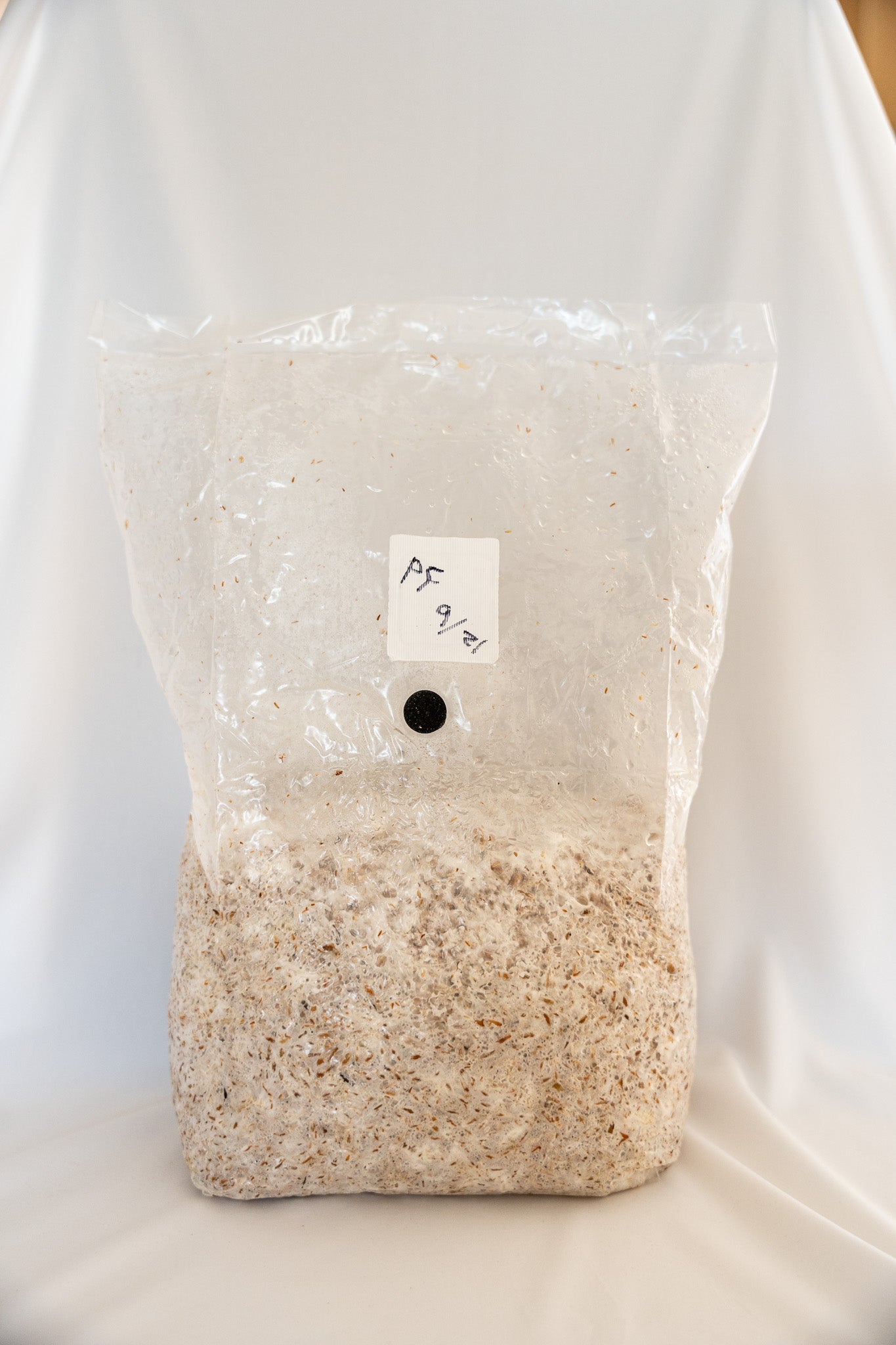 Mushroom Grain Spawn 6lb Bag