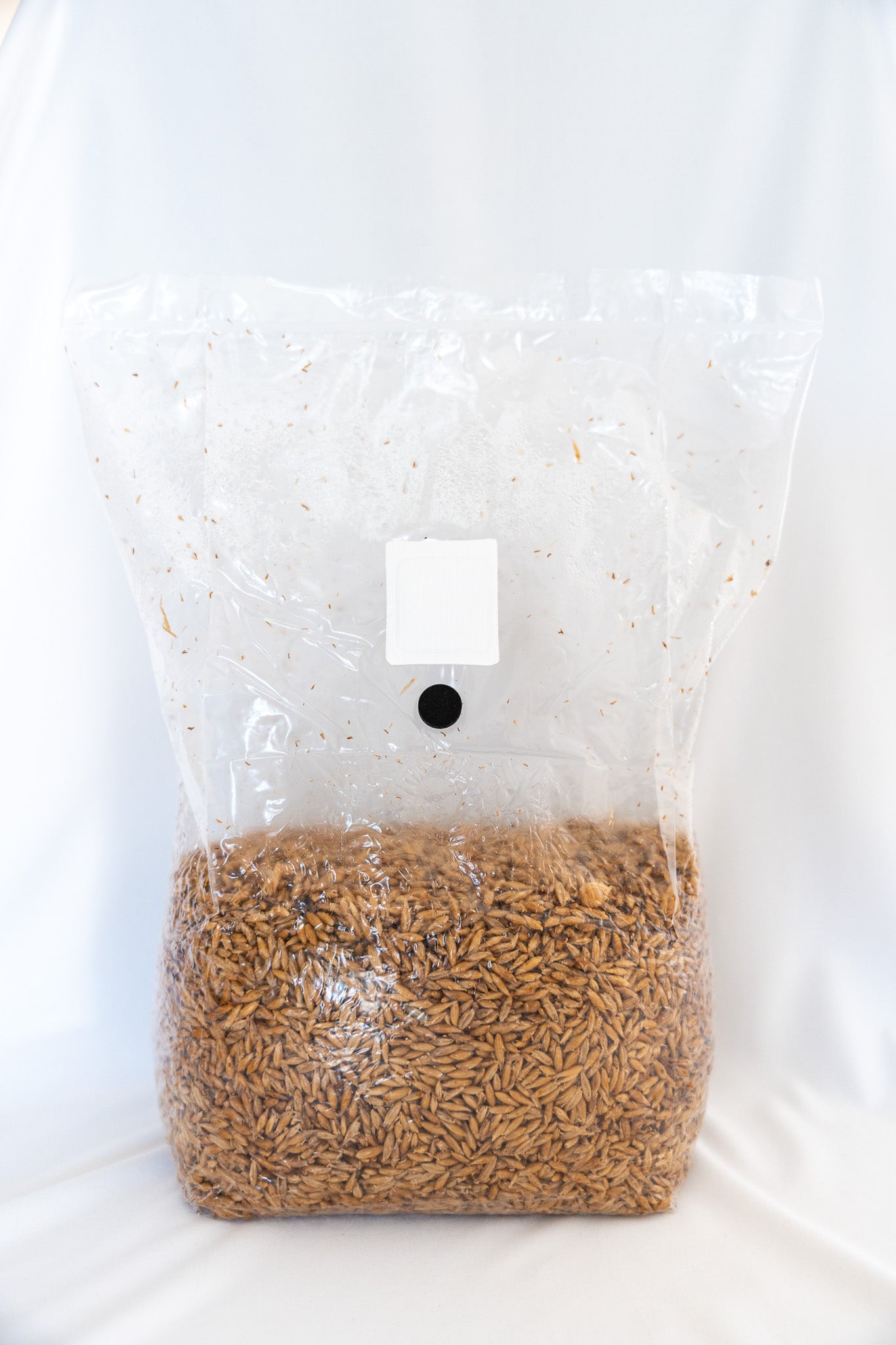 Sterilized Grain 6lb Bag