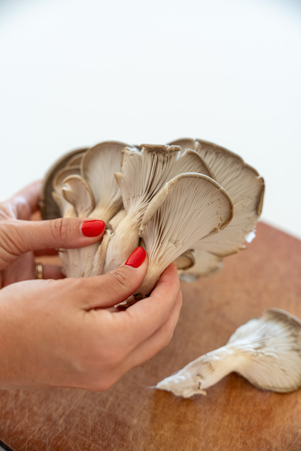 Fresh Blue Oyster Mushrooms