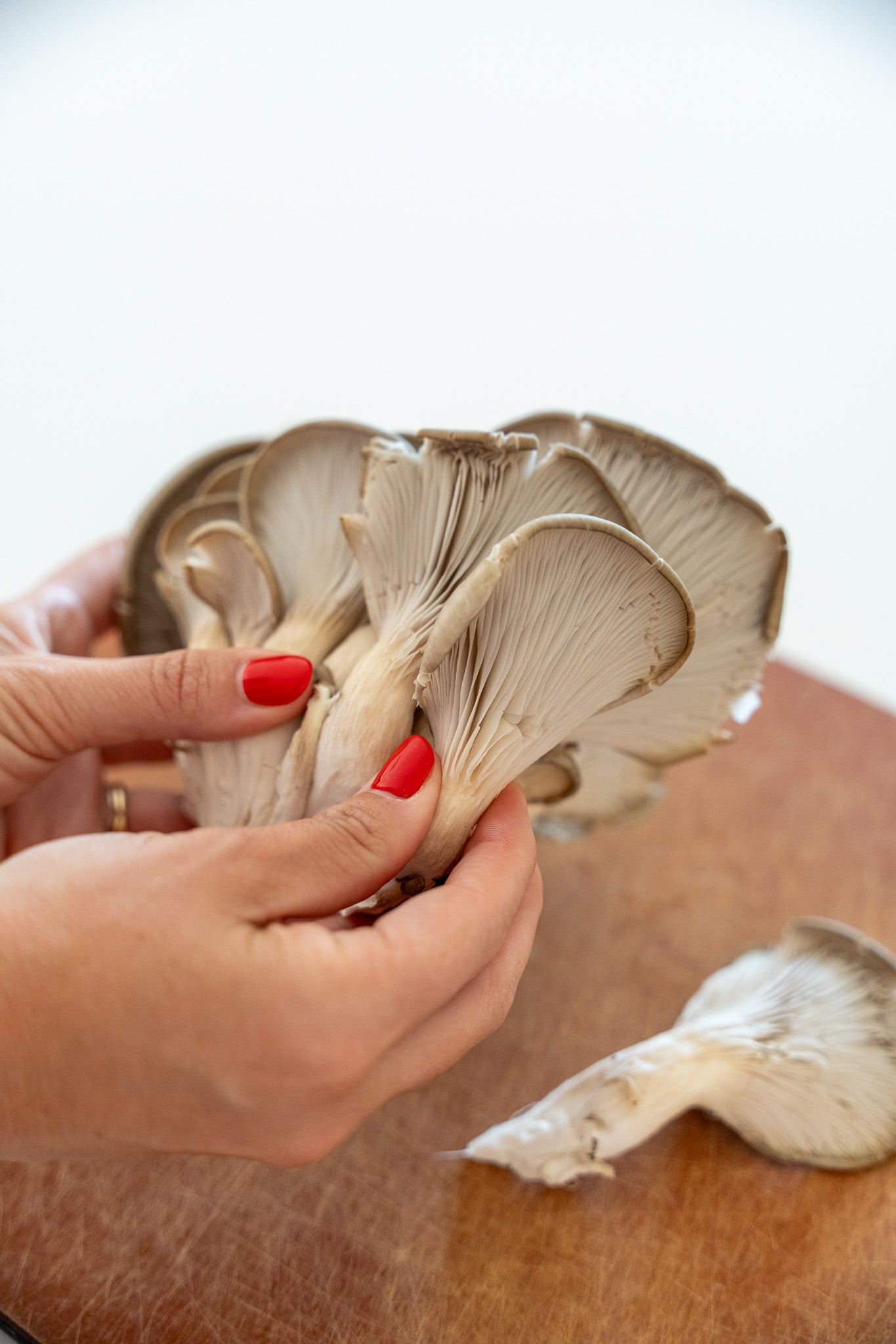 Fresh Blue Oyster Mushrooms