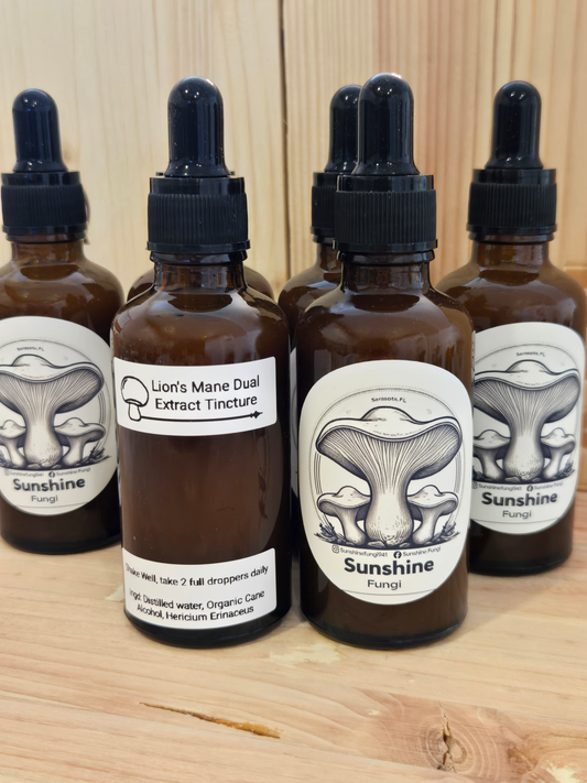 Lion's Mane Dual Extract