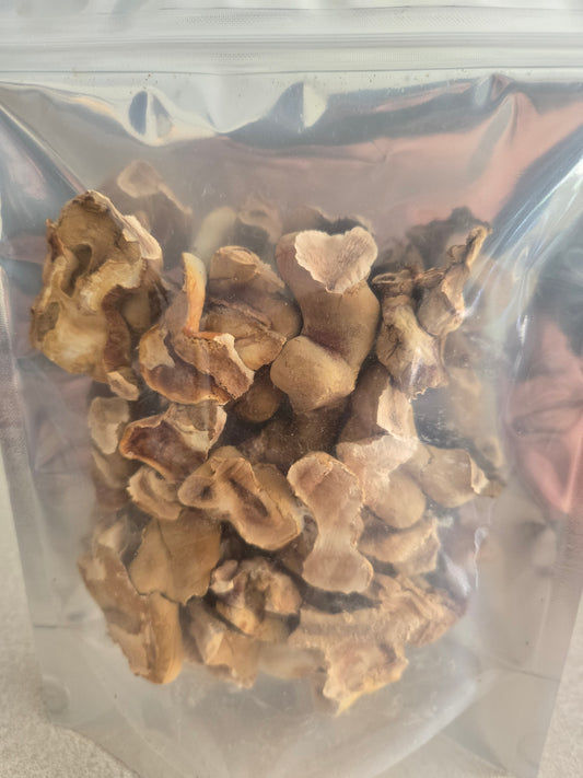 Dried Reishi Antler